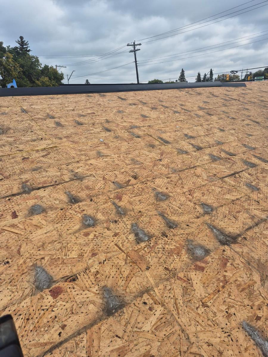 New Roof Image 1
